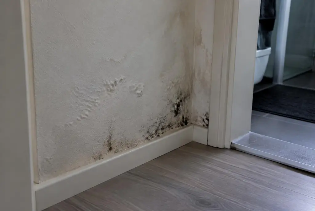 Lekdetectie Schiedam – vochtplek met schimmel op een muur